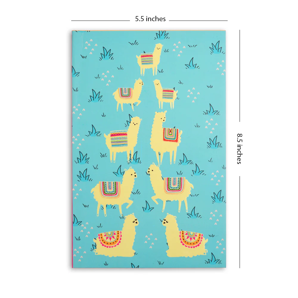 Notebook - Alpaca 2