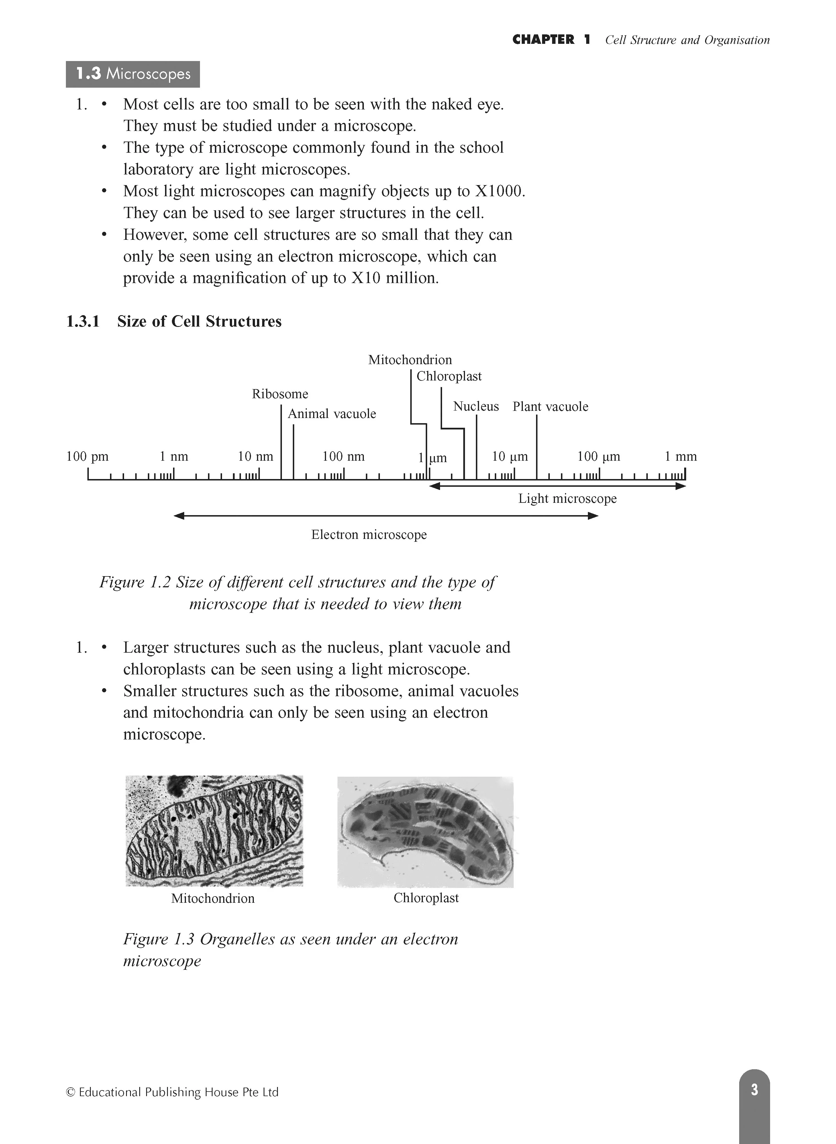 O/N Level (G3/G2) Science Biology Fast Forward - Image 4