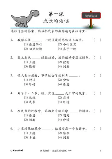 P5B 画龙点睛-高级华文语文应用-3rd Edition - Image 5