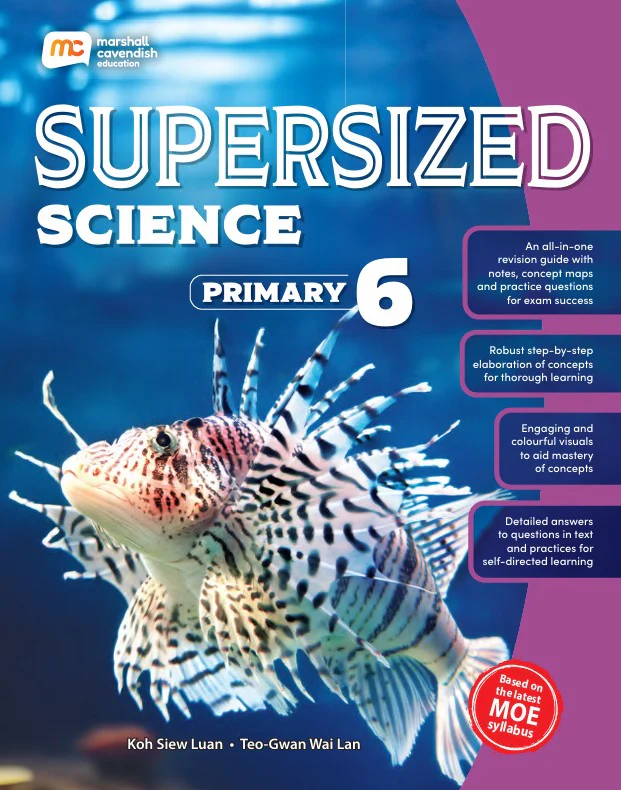 P6 Science Supersized