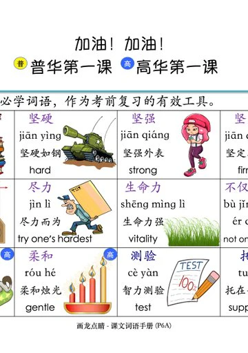 P6A 画龙点睛-普华/高级课文词语手册 - Image 5