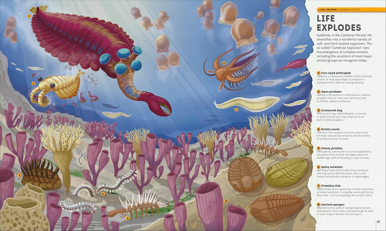 Planet Earth: A 4.5 Billion Year Story (Hardcover) - Image 3