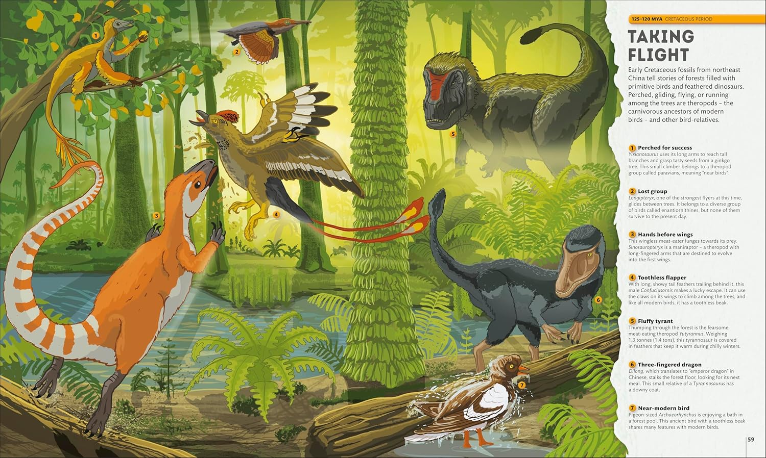 Planet Earth: A 4.5 Billion Year Story (Hardcover) - Image 5