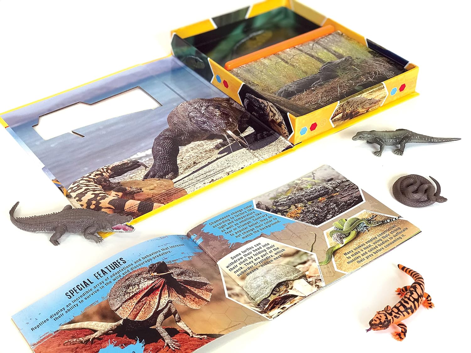 Pocket Explorer: Reptiles - Image 2