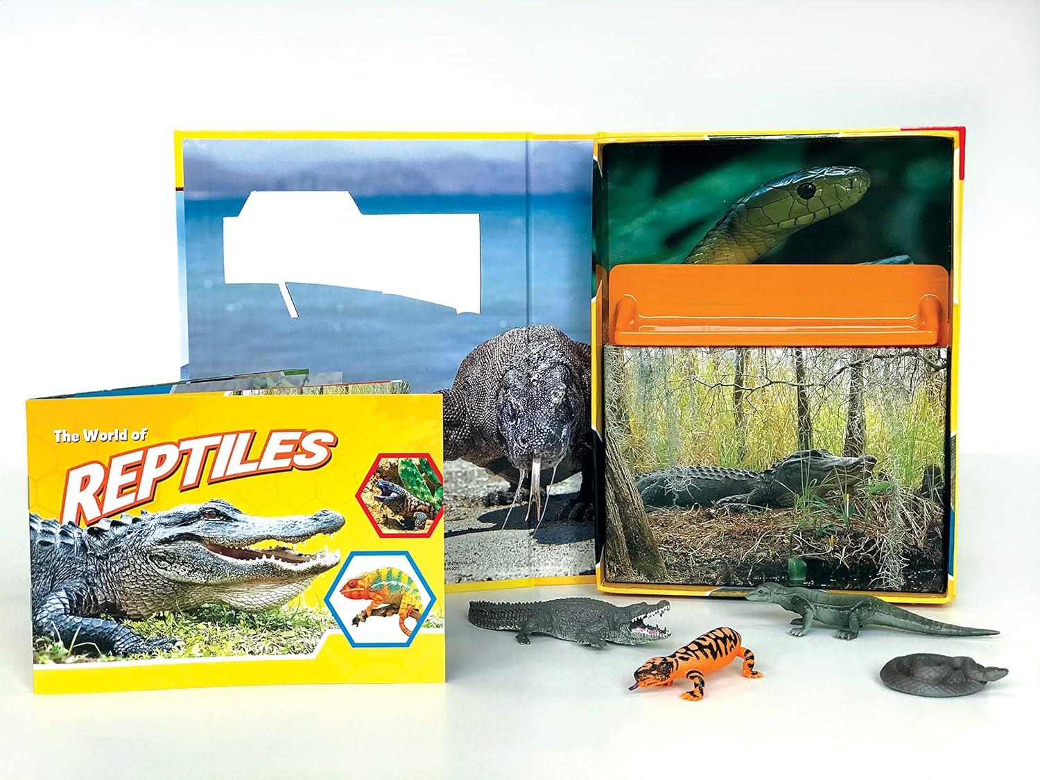 Pocket Explorer: Reptiles - Image 3