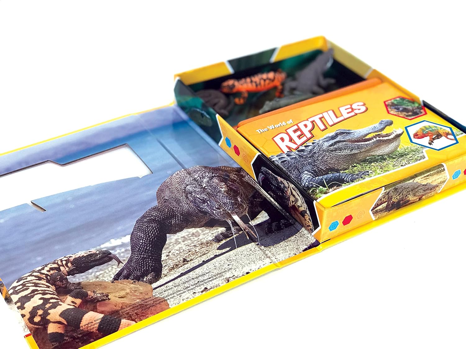 Pocket Explorer: Reptiles - Image 4