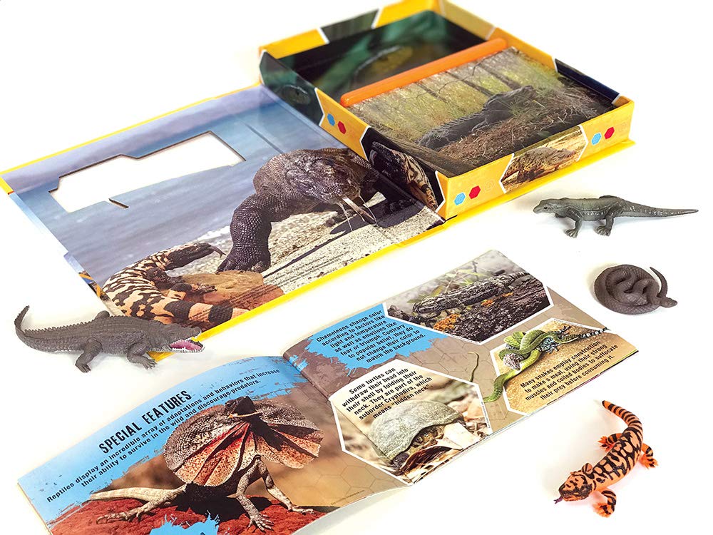 Pocket Explorer: Reptiles - Image 5