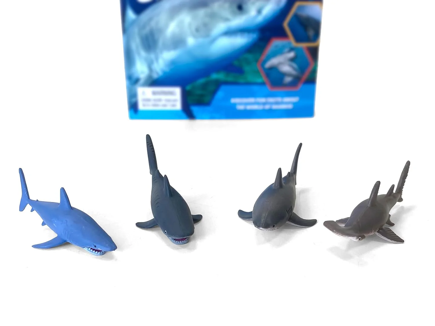 Pocket Explorers: Sharks - Image 4