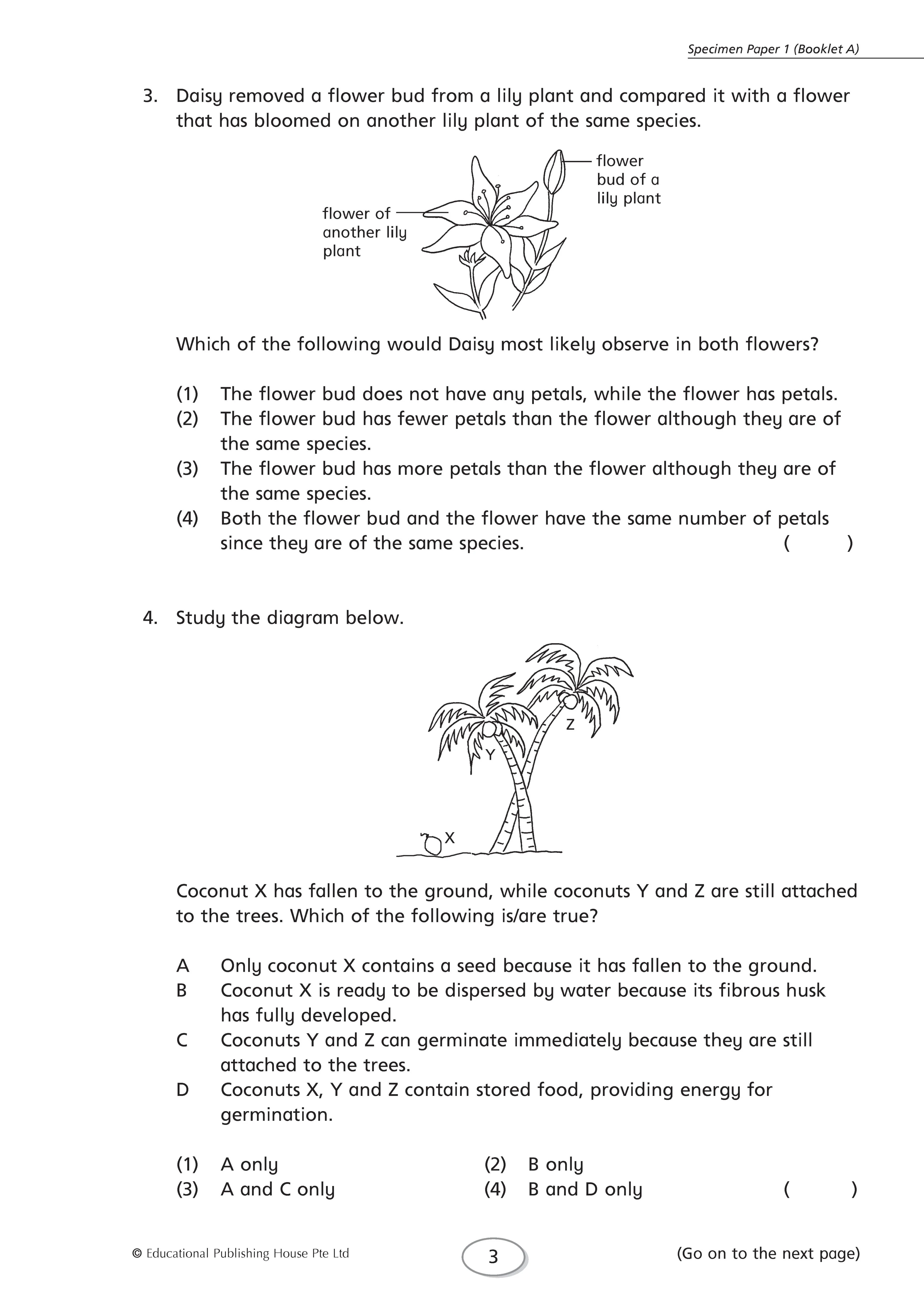 Preparing For PSLE Science - Image 5