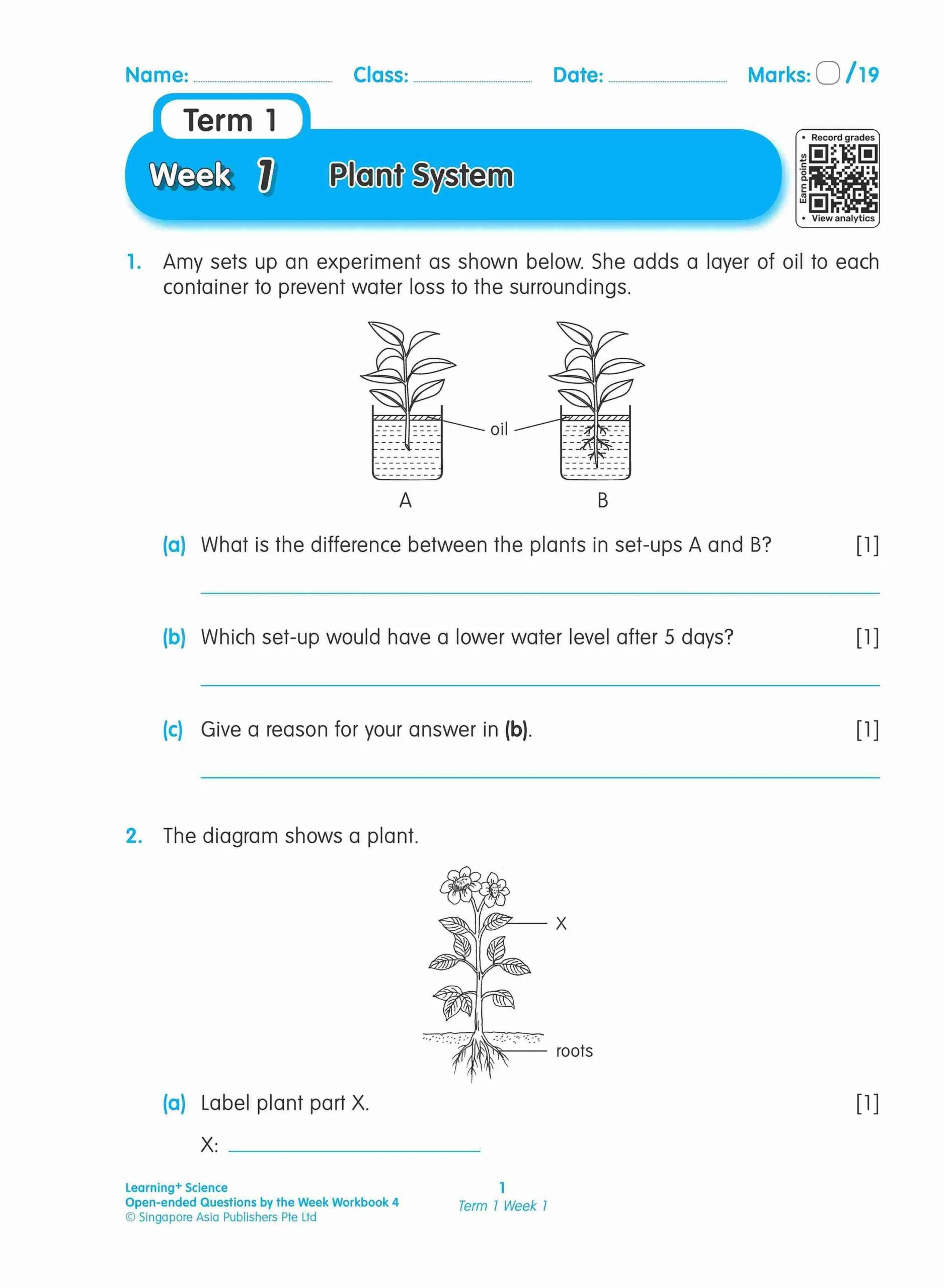 Primary 4 LEARNING+ SCIENCE Open-ended Questions by the WEEK Workbook 4 - Image 5