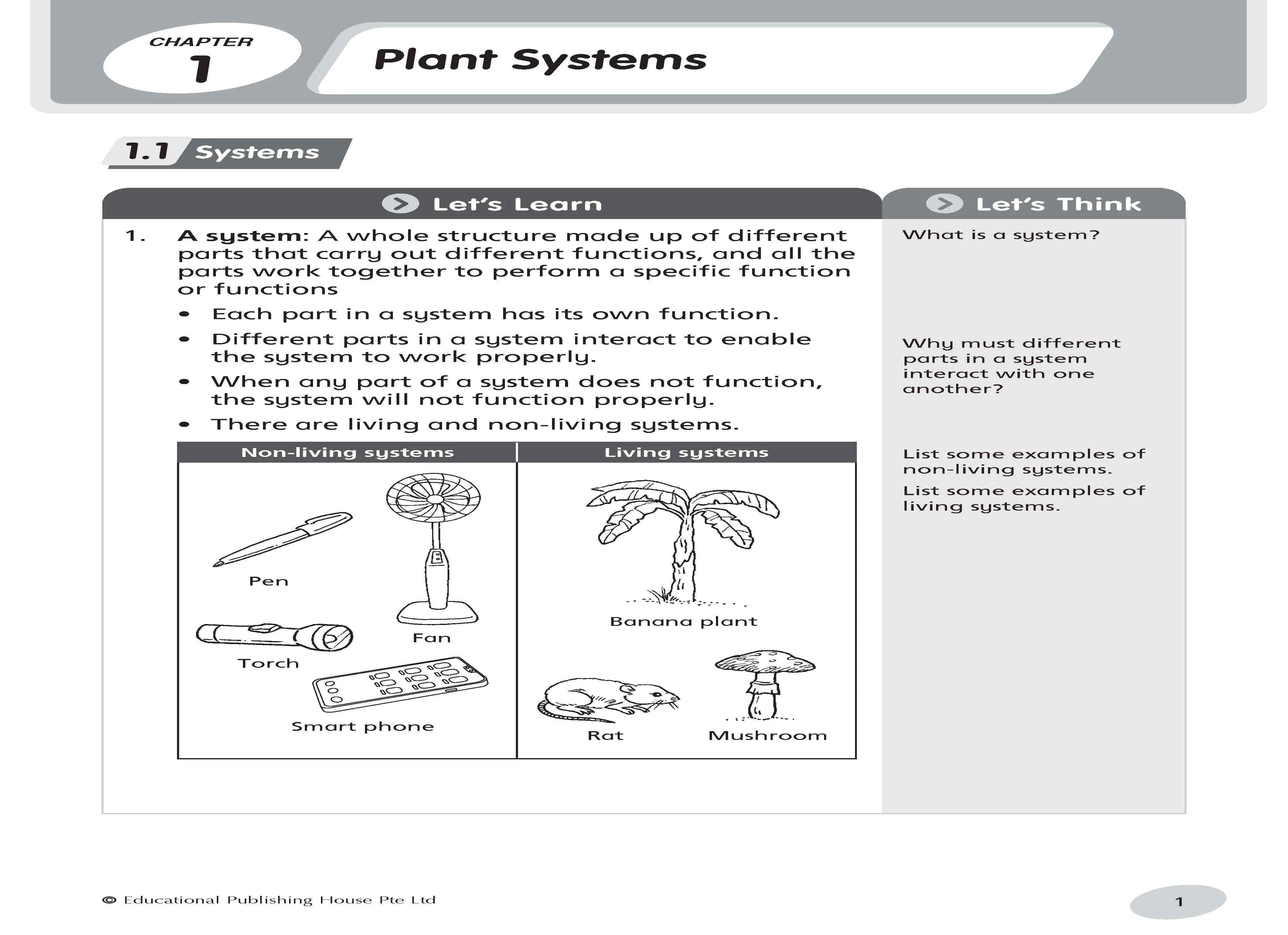 Primary 4 Science Notes & Practice - Image 3
