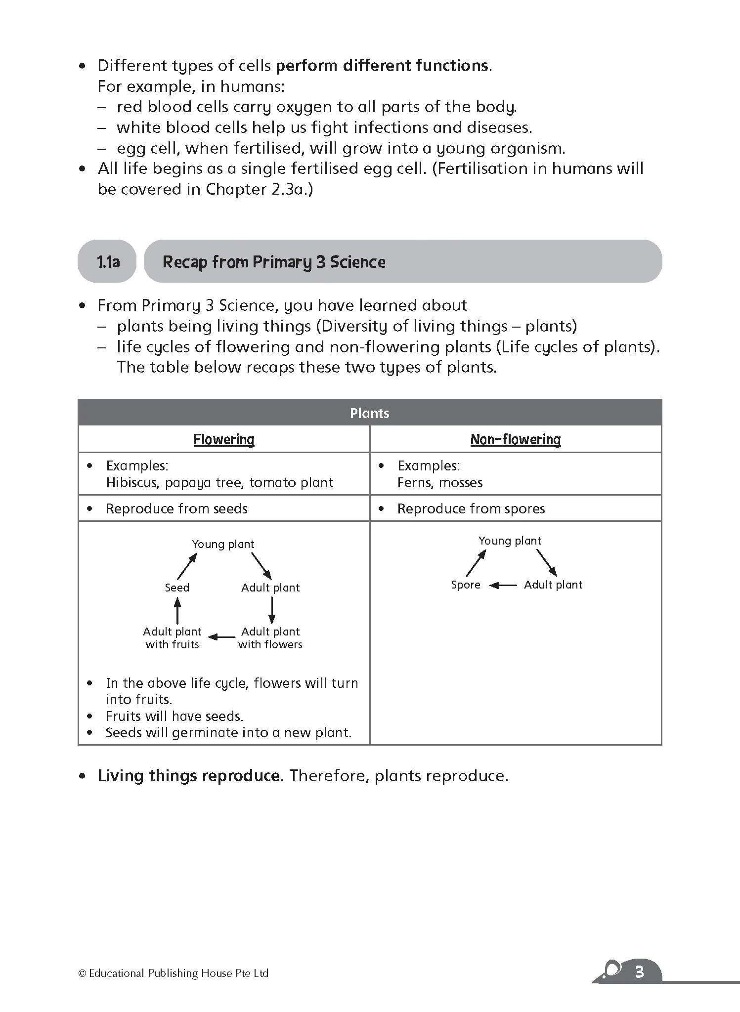 Primary 5 Complete Science Essentials - Image 5