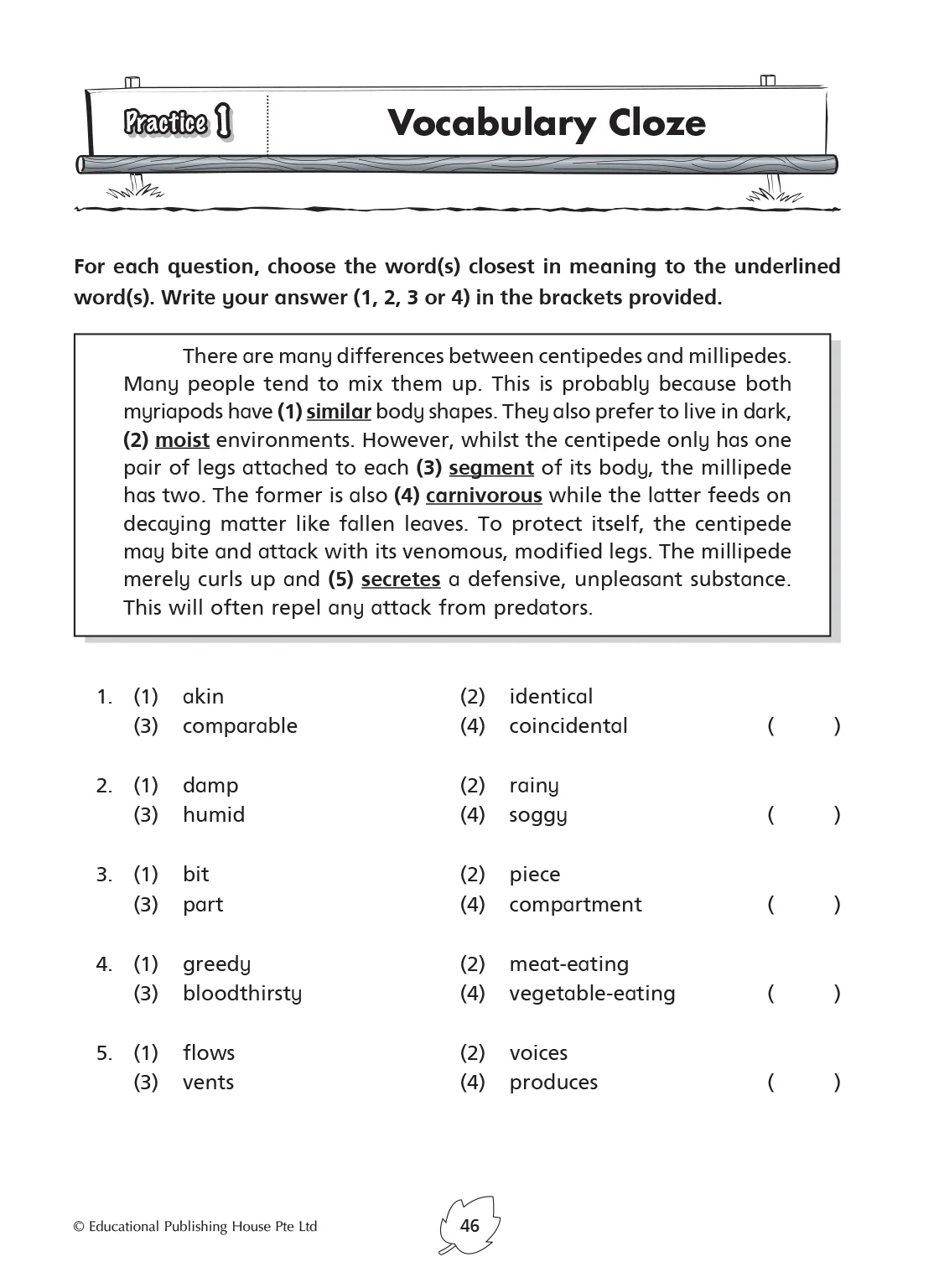 Primary 5 English Practice 1000+ - Image 5