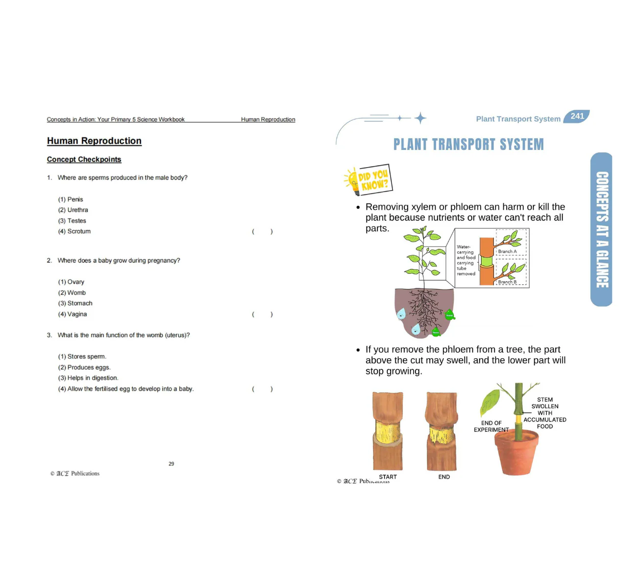 Primary 5 Science Bundle – Life Sciences (Get Your Concepts Right + Concepts In Action) - Image 3