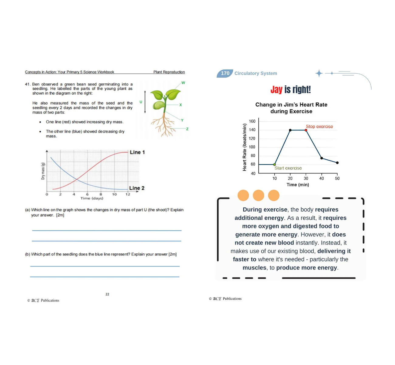 Primary 5 Science Bundle – Life Sciences (Get Your Concepts Right + Concepts In Action) - Image 4