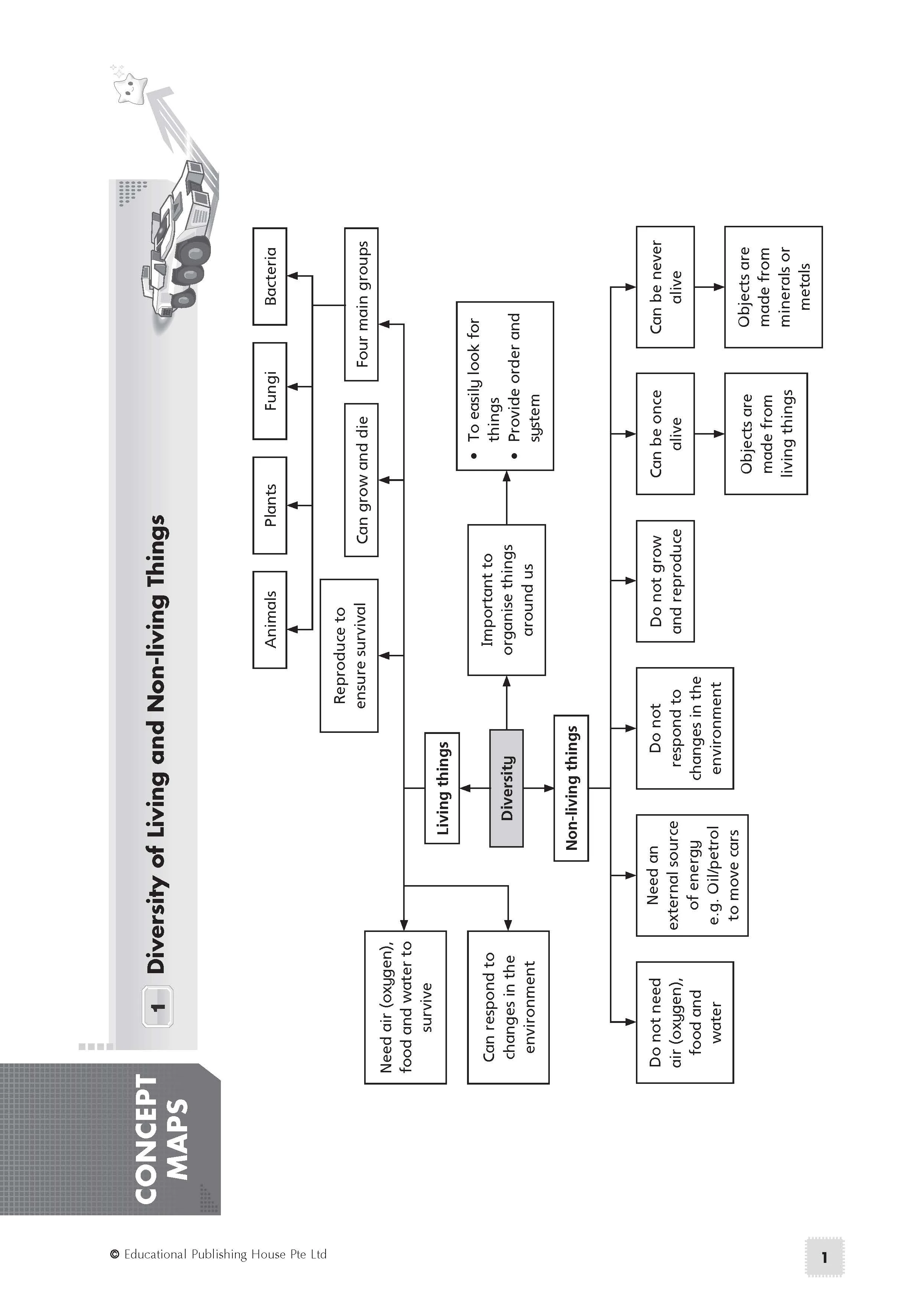 Primary 5 Science Exam Power Pack - Image 3