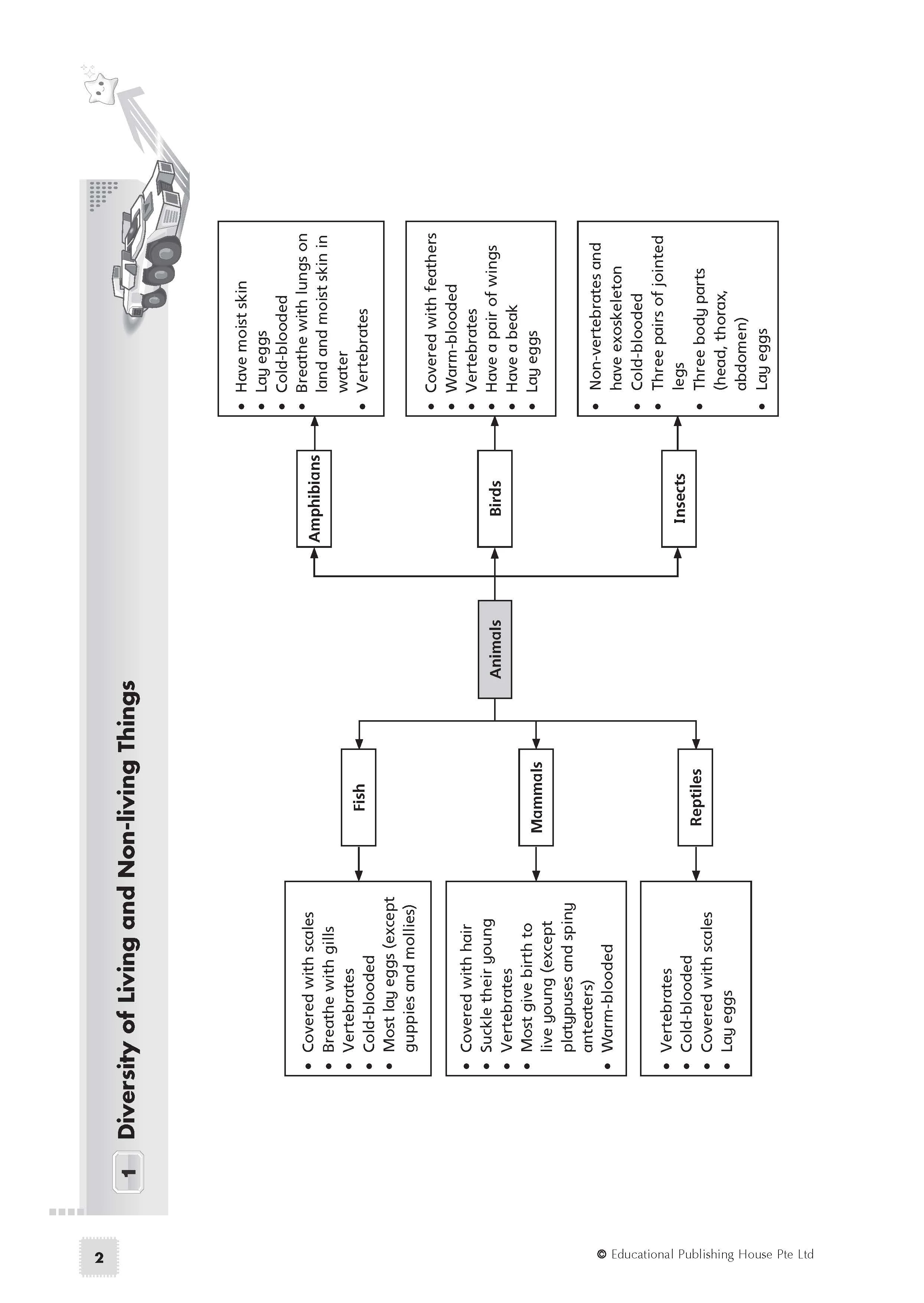 Primary 5 Science Exam Power Pack - Image 4