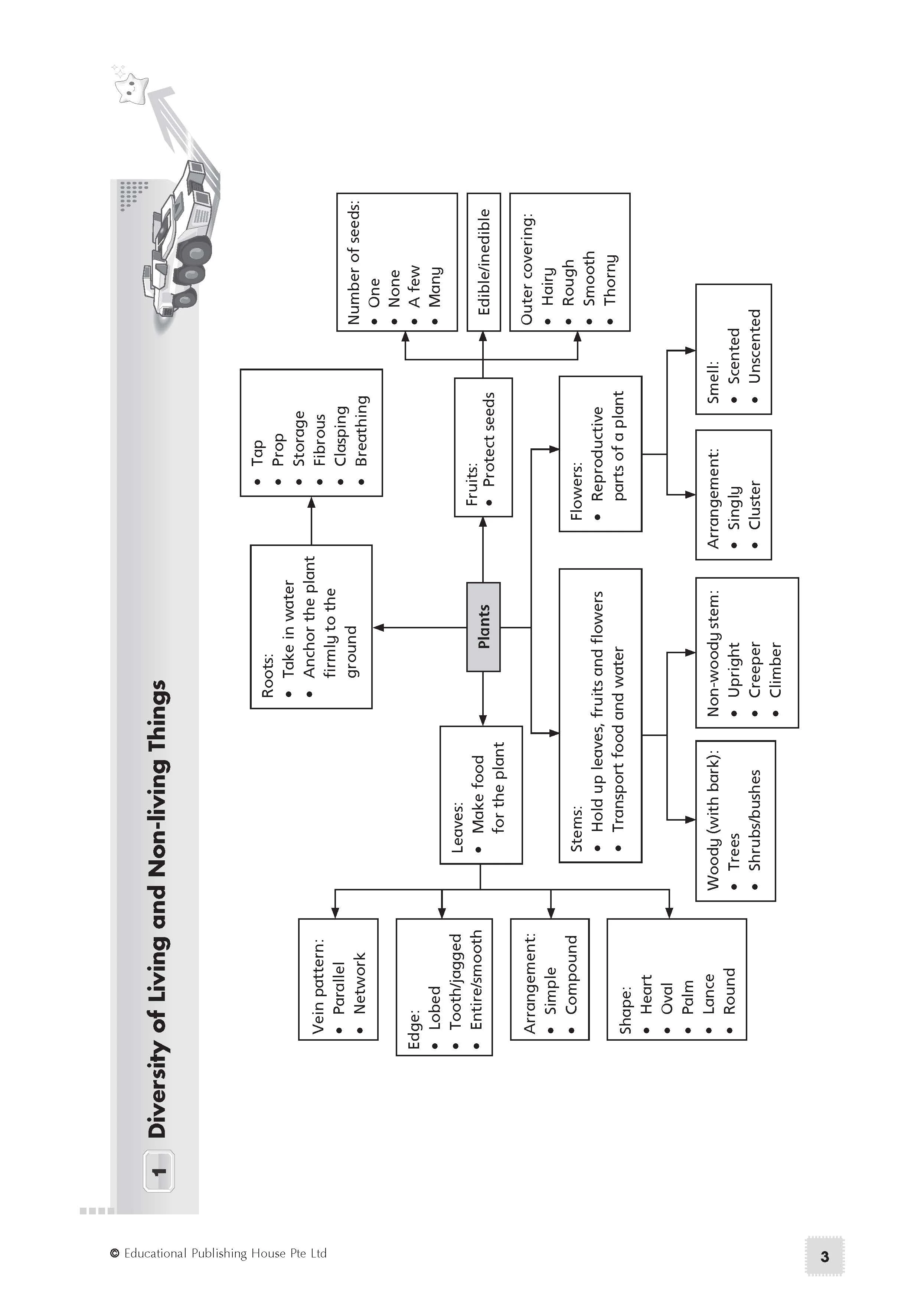 Primary 5 Science Exam Power Pack - Image 5