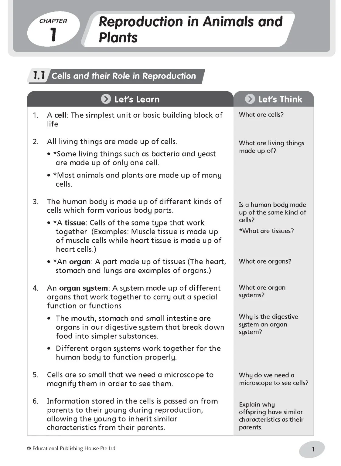 Primary 5 Science Notes & Practice - Image 3