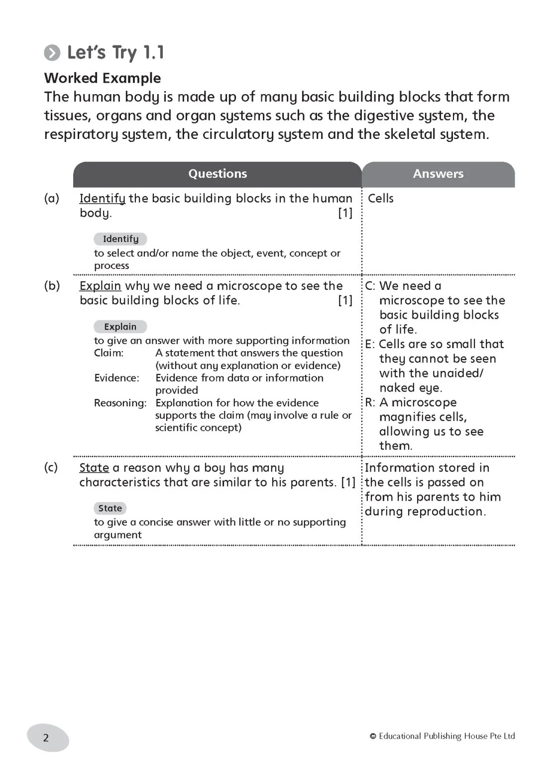 Primary 5 Science Notes & Practice - Image 4