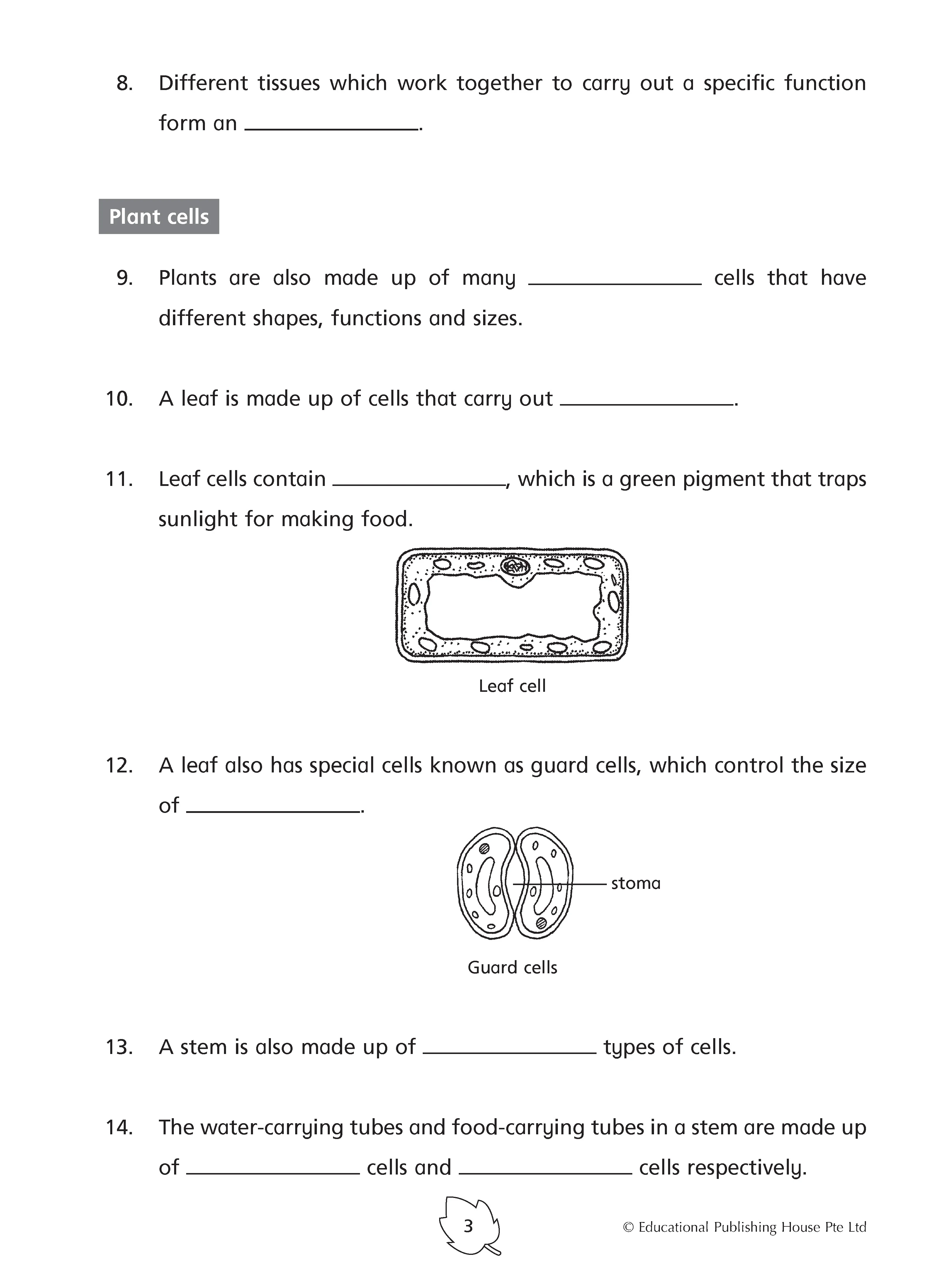 Primary 5 Science Practice 1000+ -3rd Edition - Image 4