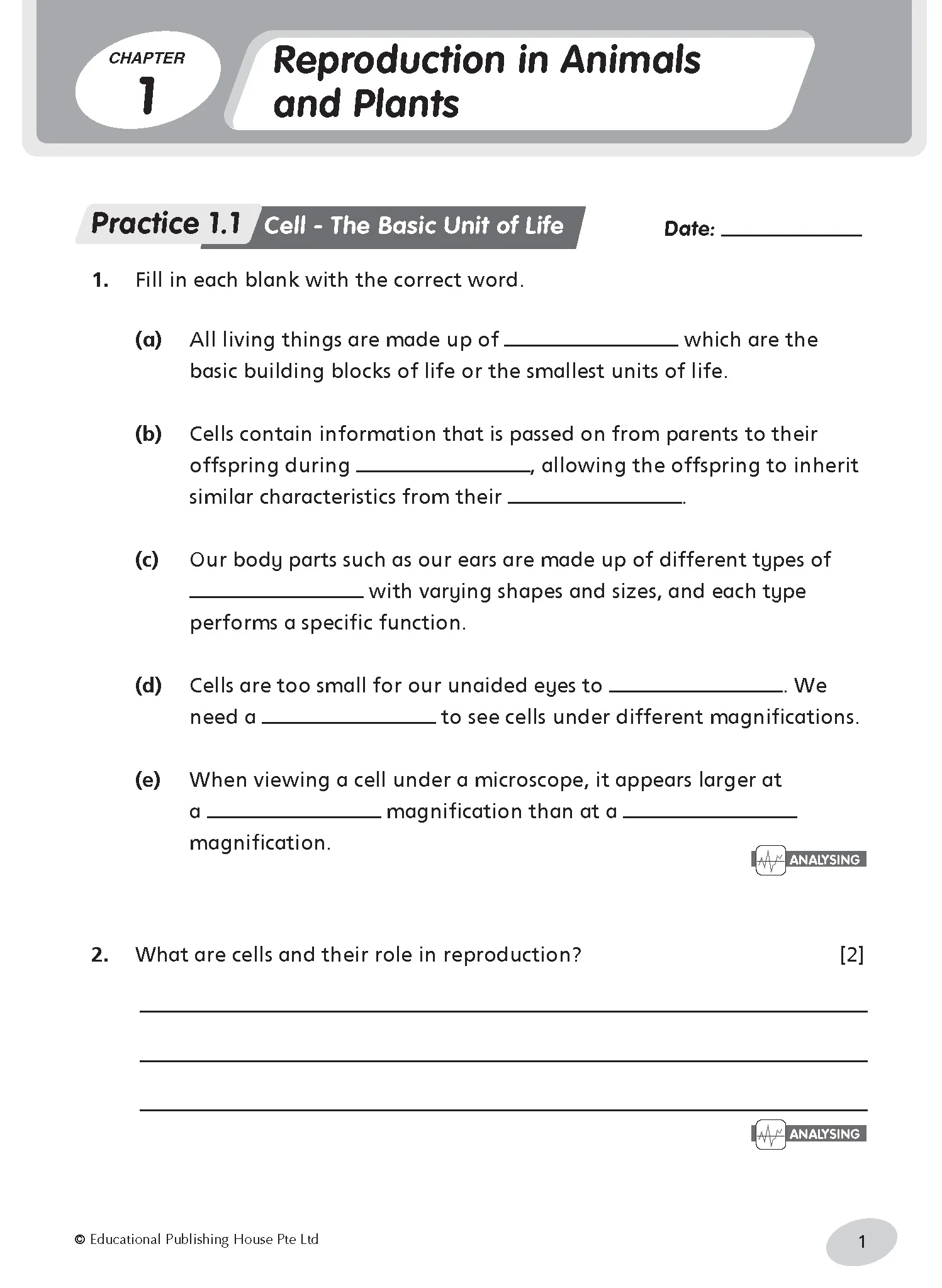 Primary 5 Science Practice - Image 3