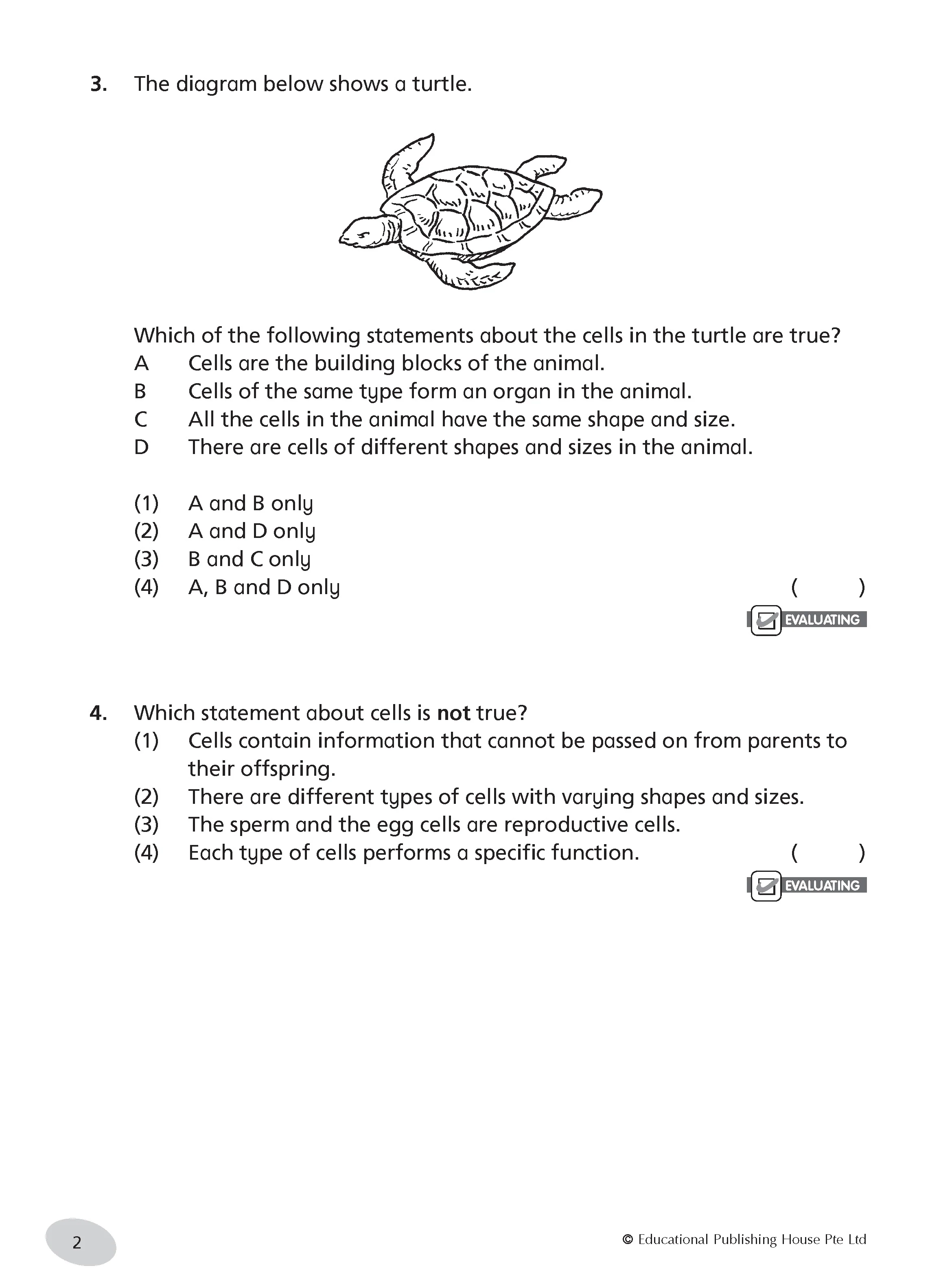 Primary 5 Science Practice - Image 4