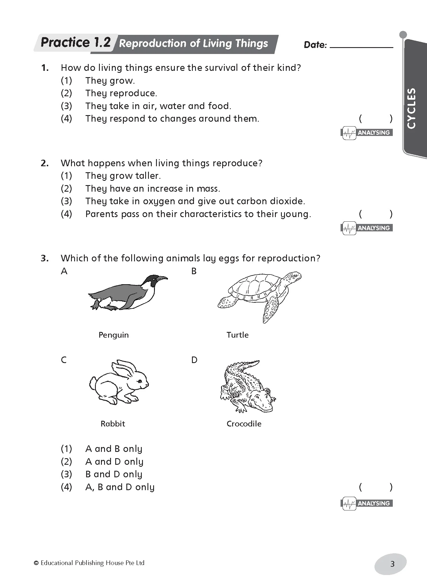 Primary 5 Science Practice - Image 5