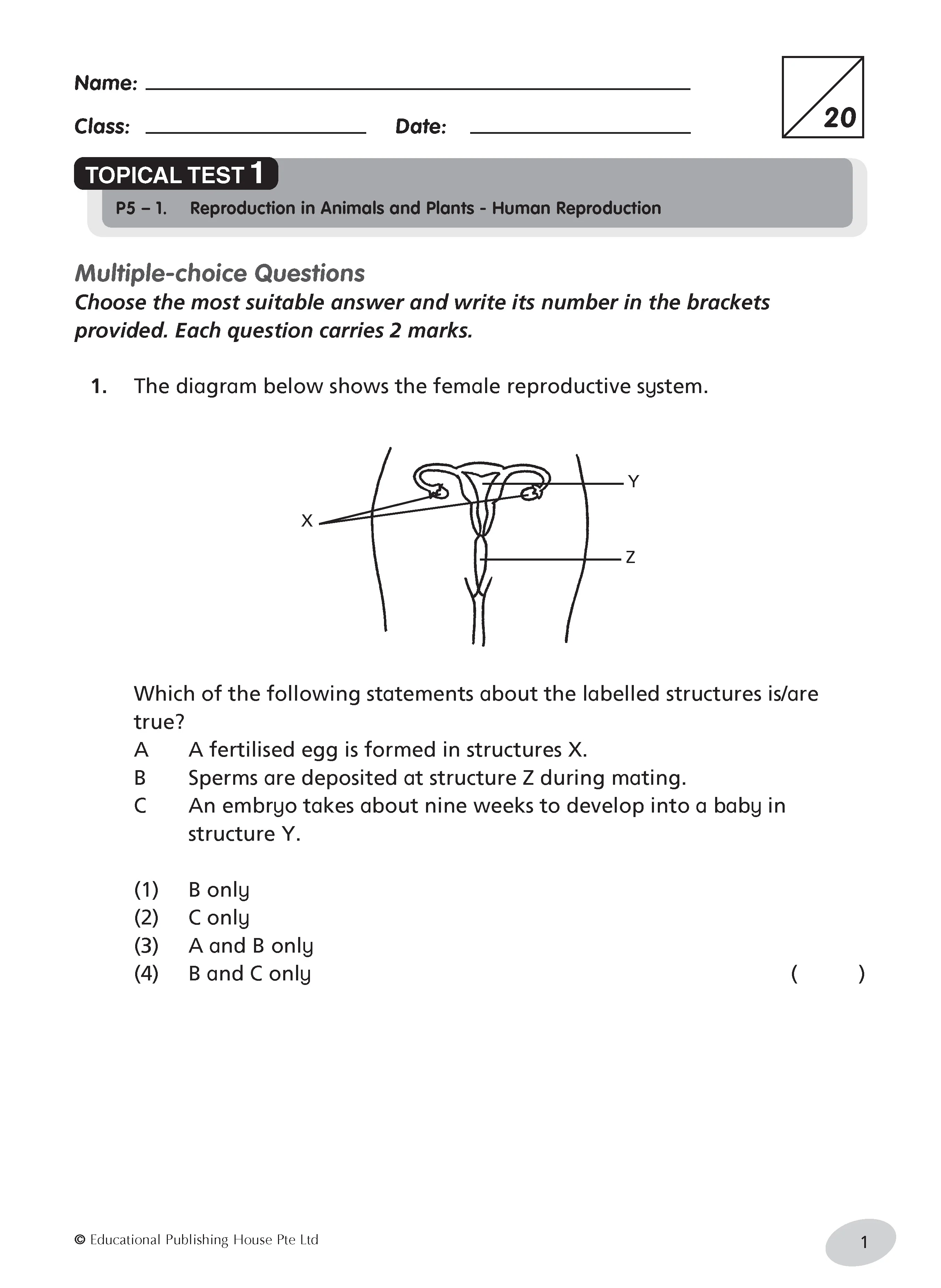 Primary 5 Science Tests - Image 3