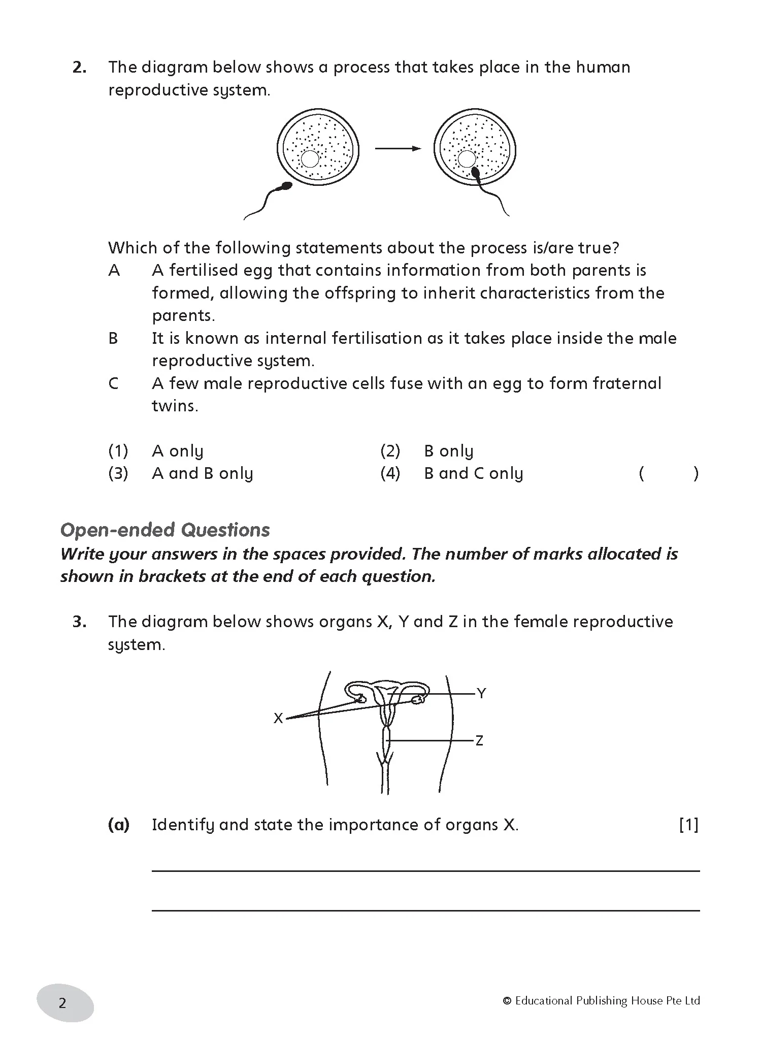 Primary 5 Science Tests - Image 4
