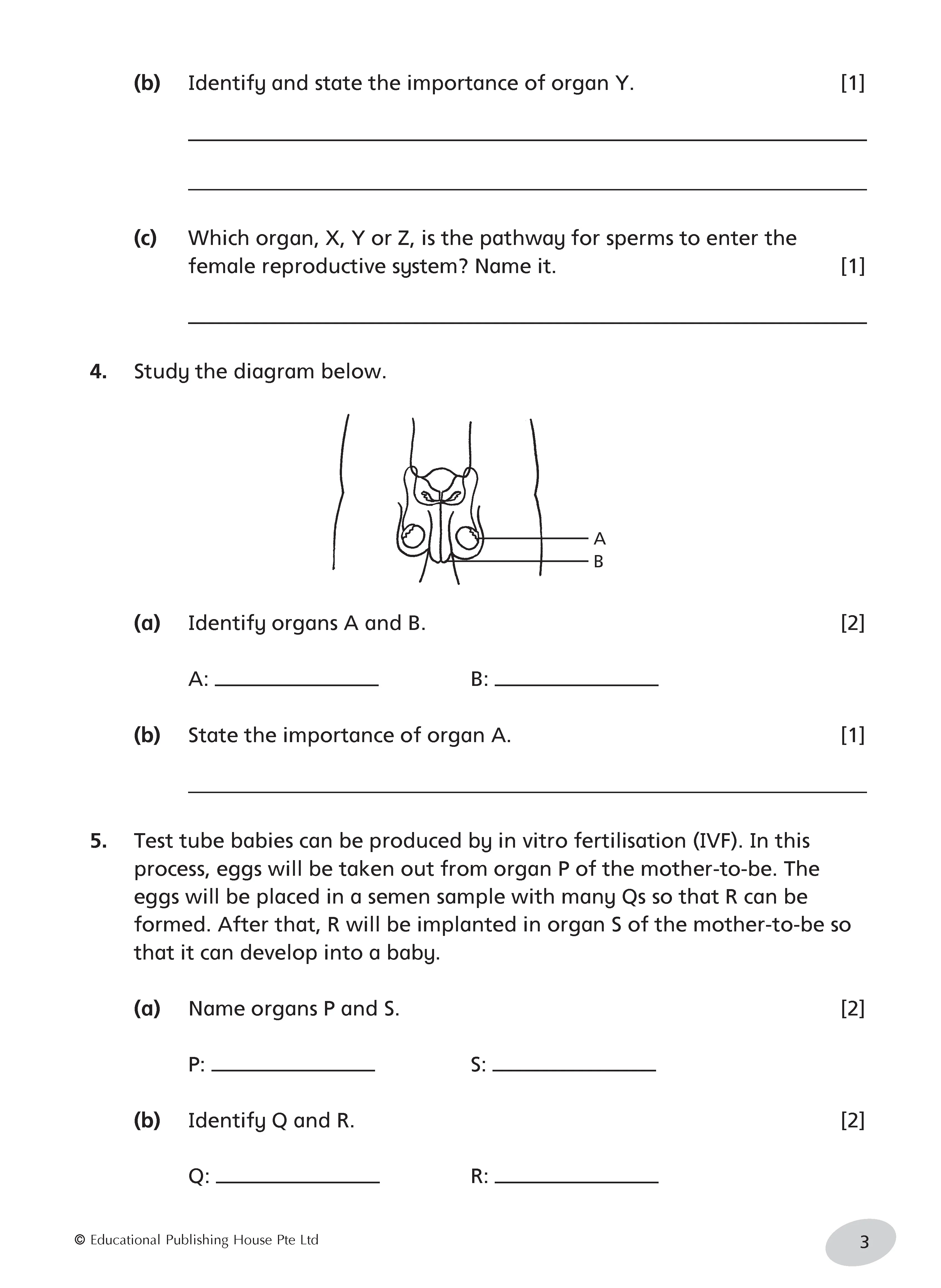 Primary 5 Science Tests - Image 5