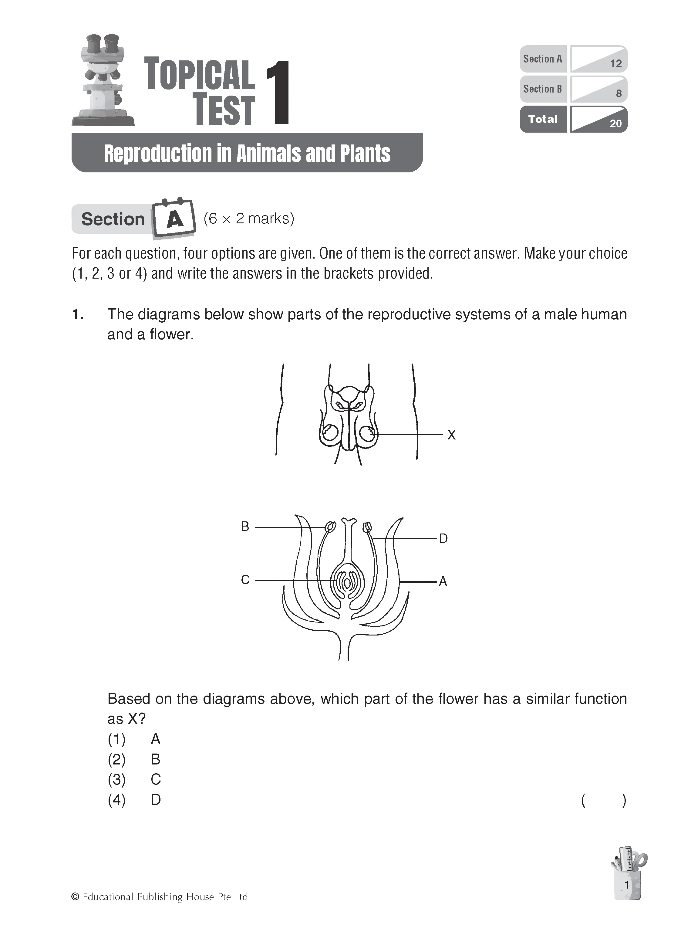 Primary 5 Science Topical And Thematic Tests - Image 3