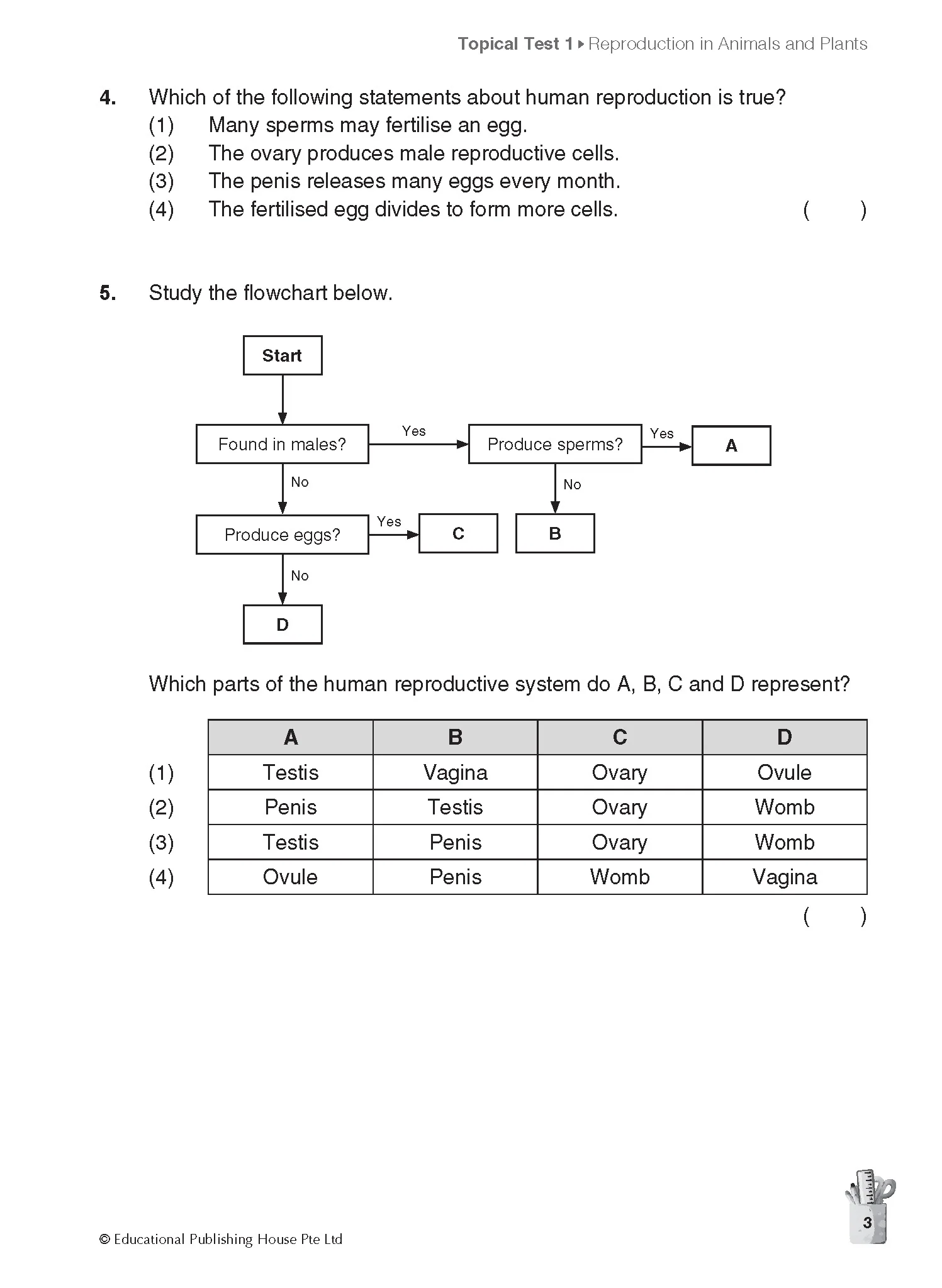 Primary 5 Science Topical And Thematic Tests - Image 5