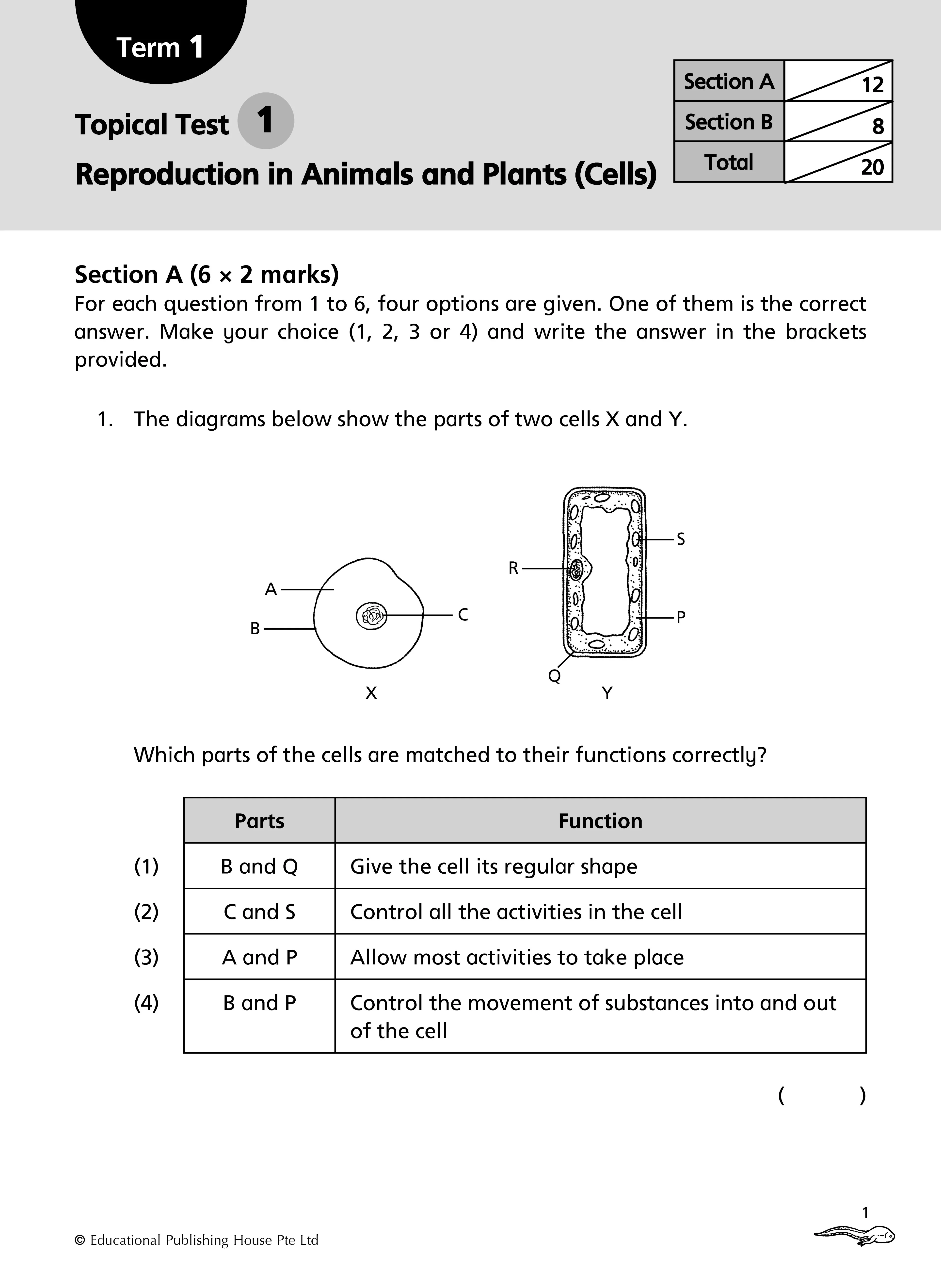 Primary 5 Science Topical Class Tests - 3rd Edition - Image 3