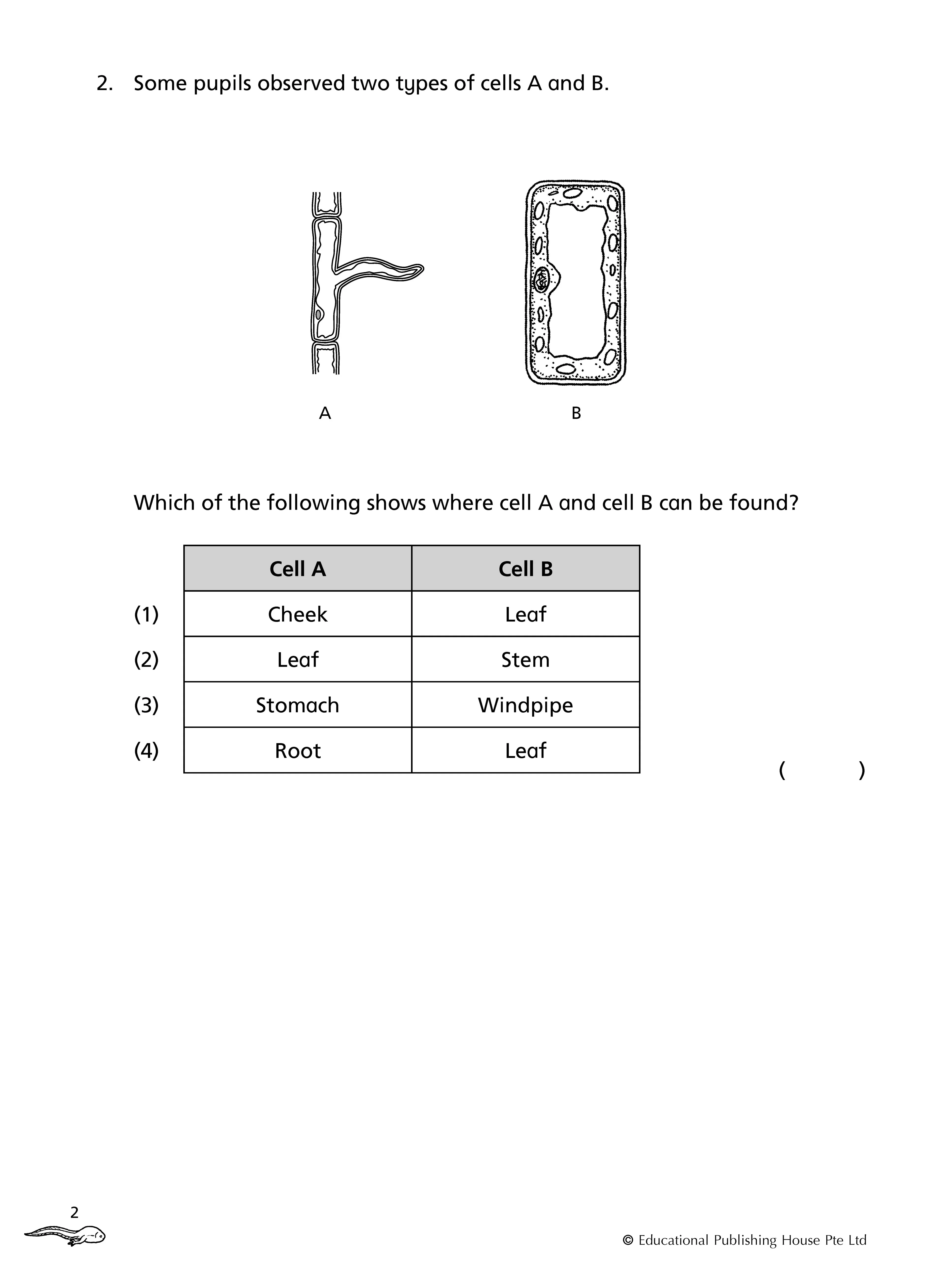 Primary 5 Science Topical Class Tests - 3rd Edition - Image 4
