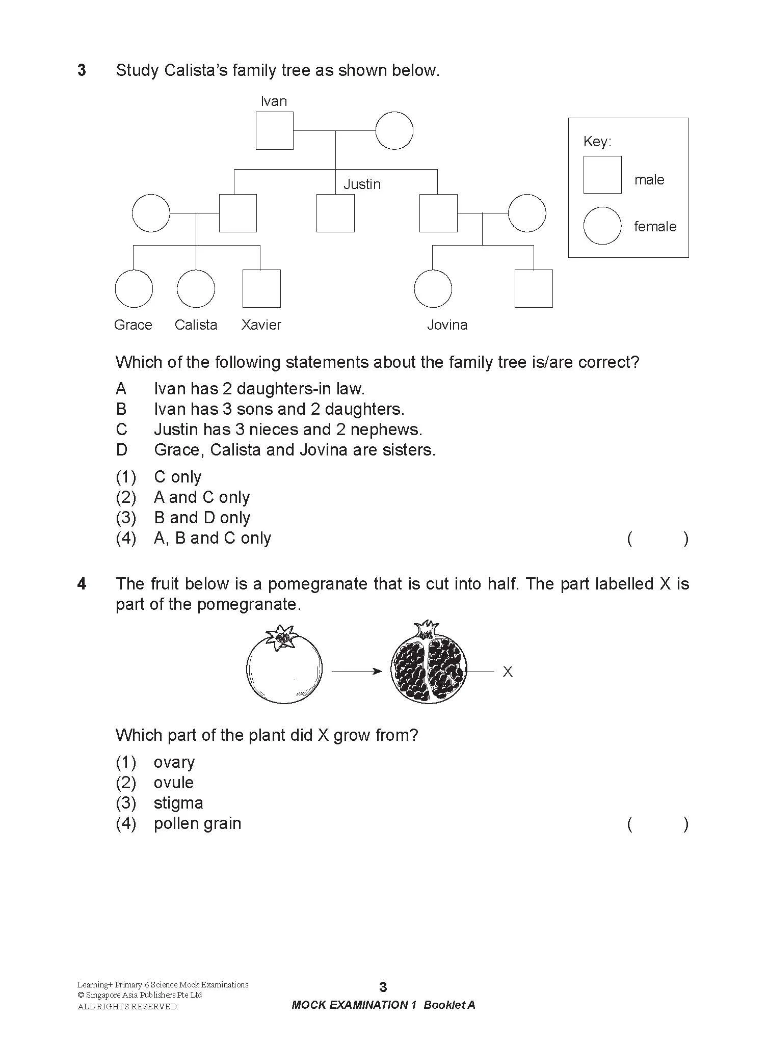Primary 6 LEARNING+ Science Mock Examinations -2nd Edition - Image 4