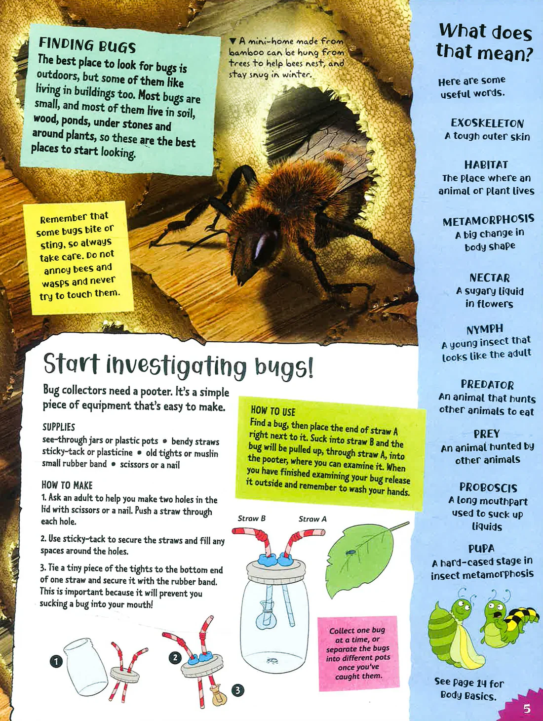 Project Bugs - Image 4