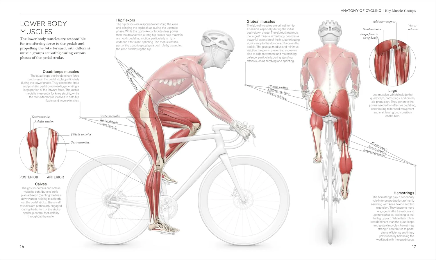 Science of Cycling: Transform Your Ride, Gain Strength, Revolutionize Your Training (Paperback) - Image 3