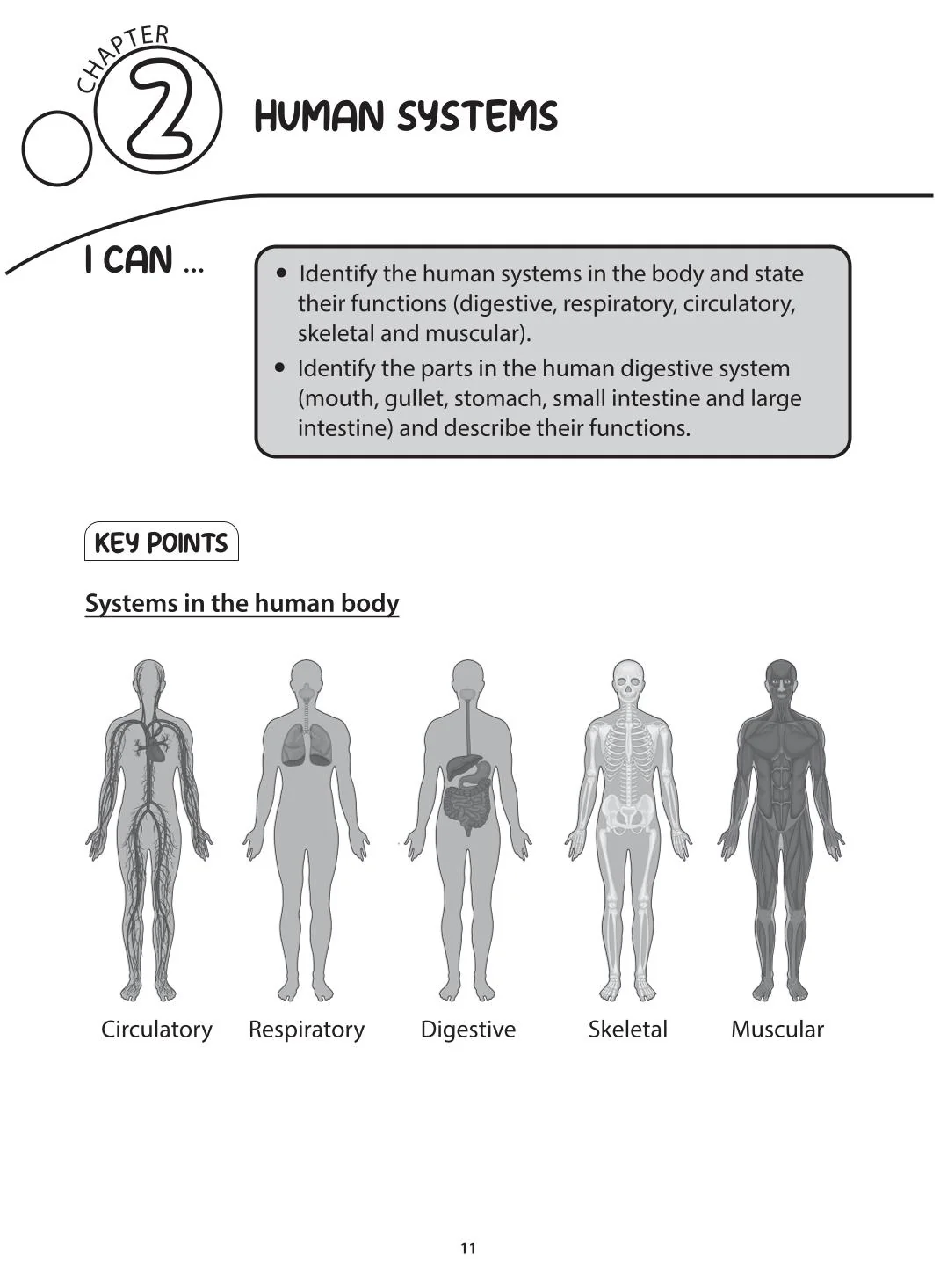 Science Topical Mastery Primary 4 Concept Notes & Application-based Practice - Image 5