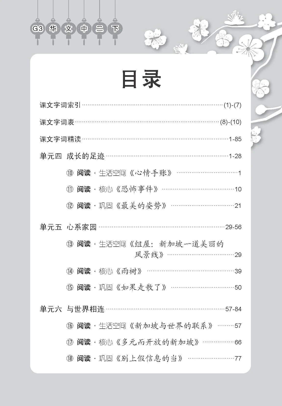 Secondary 2B [G3 Chinese] Handbook Of Vocabulary / 中学二年级 G3华文 课文字词手册 (二下 - Image 4