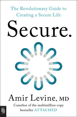 Secure - The Revolutionary Guide to Creating a Secure Life (Paperback)