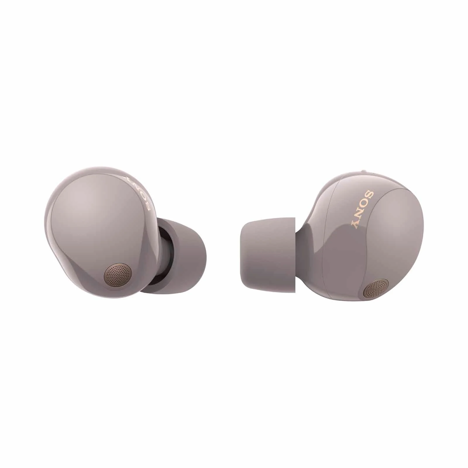 Sony WF-1000XM5 Wireless Noise Cancelling Headphones - Image 12