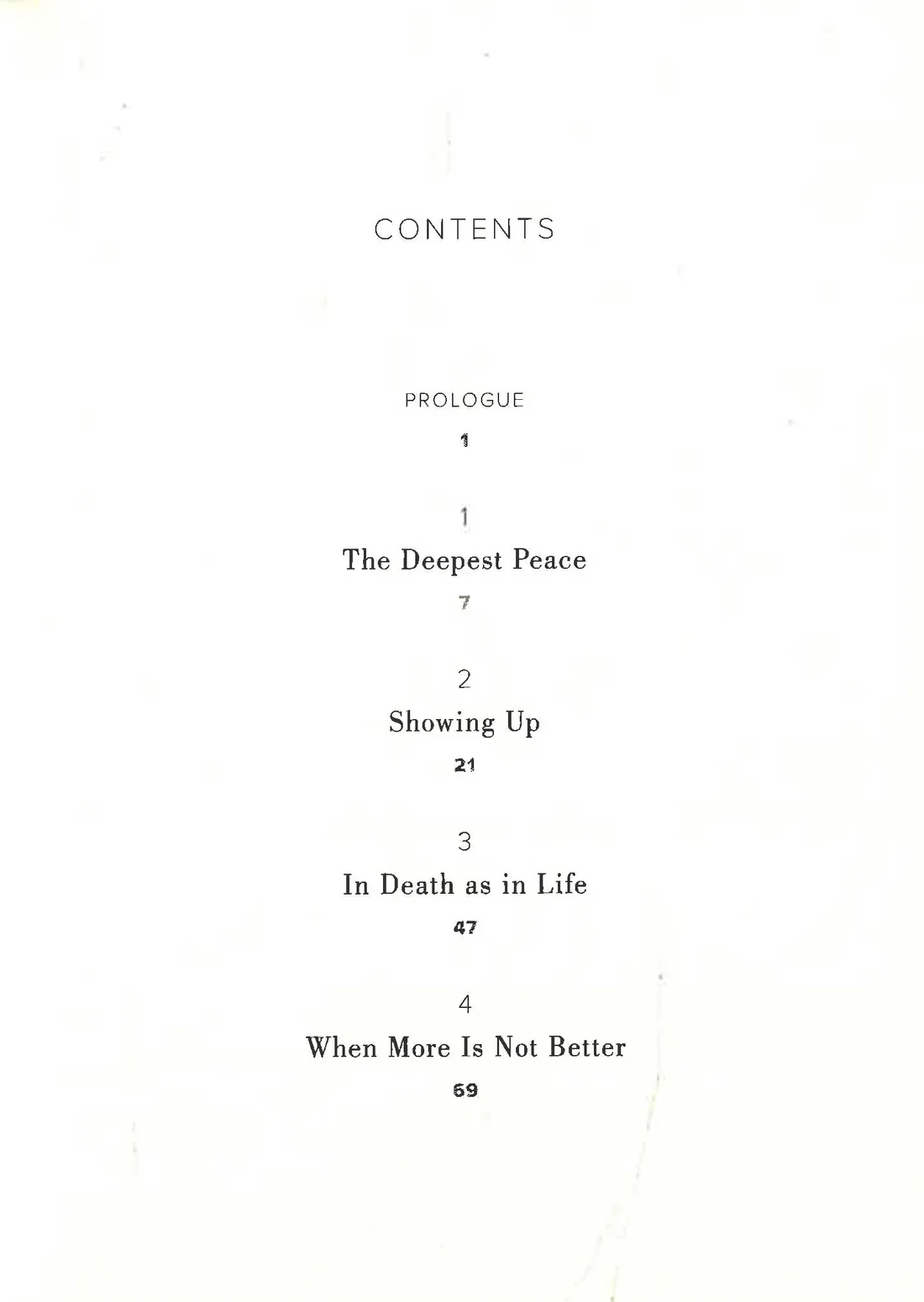 The Beauty of What Remains: How Our Greatest Fear Becomes Our Greatest Gift - Image 2
