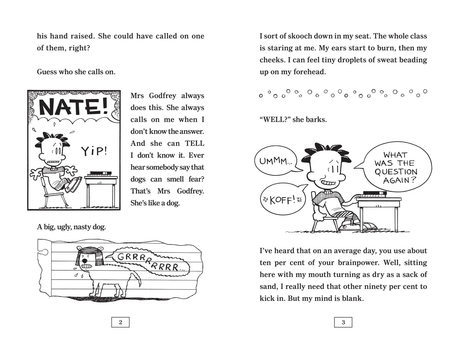 The Boy with the Biggest Head in the World (Big Nate) - Image 4