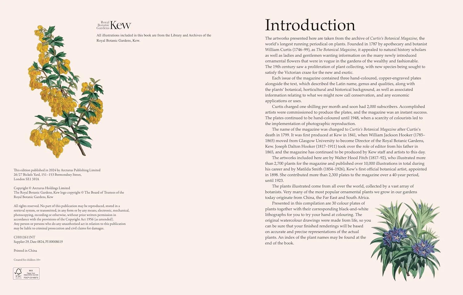 The Kew Gardens Beautiful Flowers Colouring Kit (Paperback) - Image 2