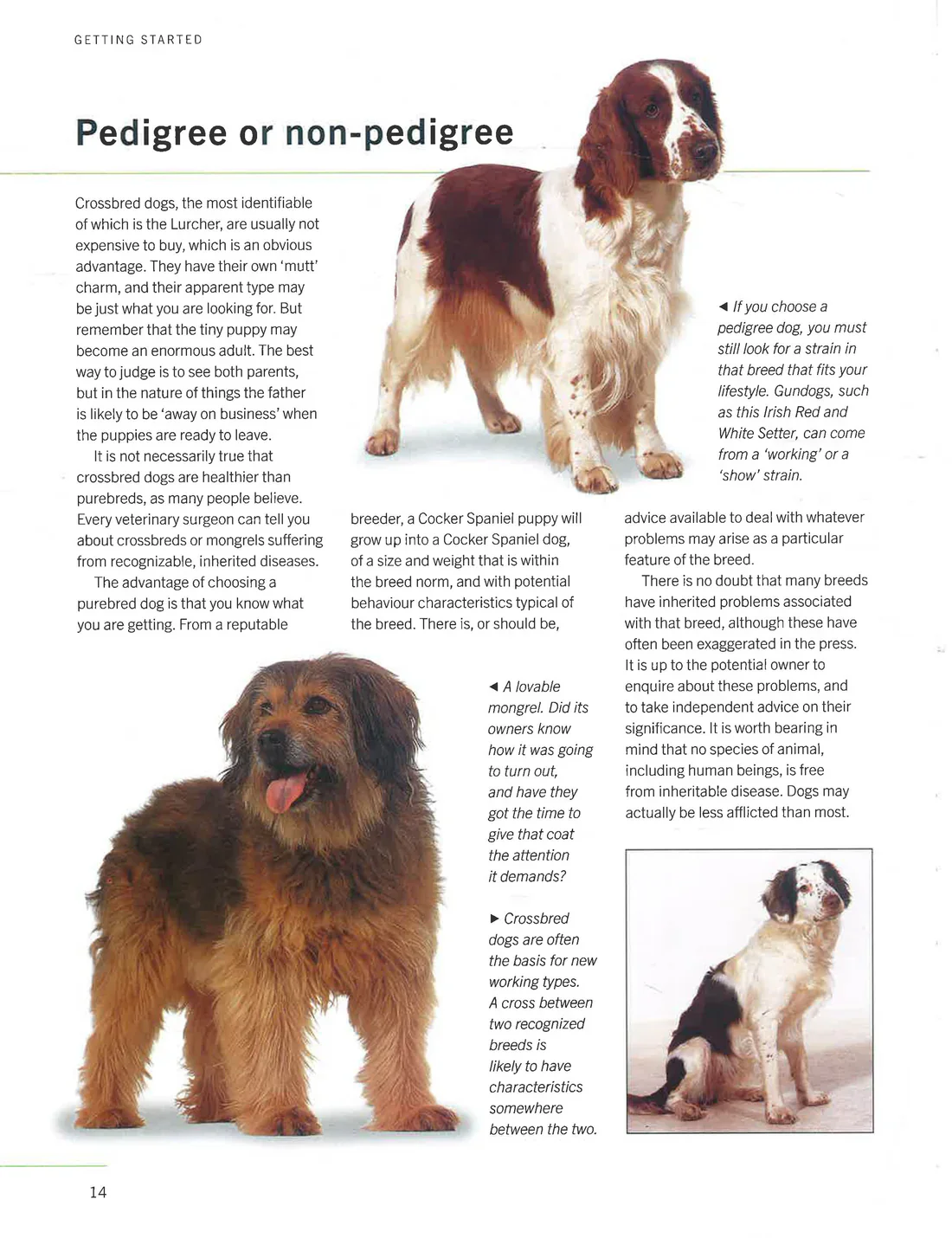 The Ultimate Encyclopedia Of Dogs - Breeds & Care - Image 3