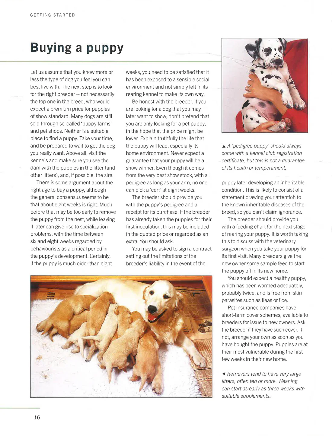 The Ultimate Encyclopedia Of Dogs - Breeds & Care - Image 4