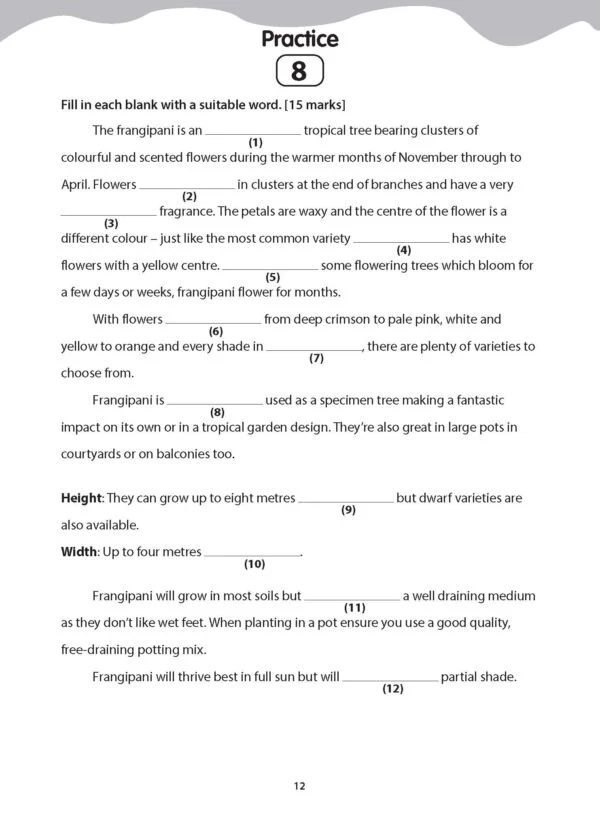 Upper Primary English Excellence: Attain AL1 Proficiency in Comprehension Cloze - Image 5