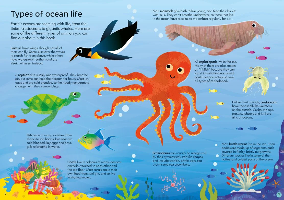 Usborne Book & Jigsaw: Oceans - Image 3