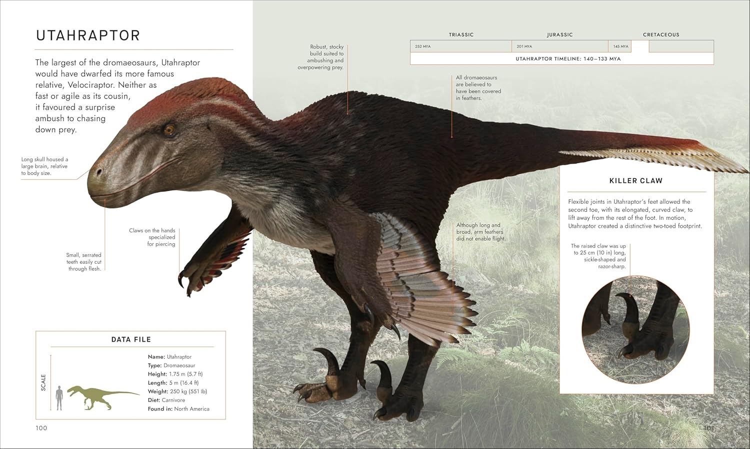 BBC Walking With Dinosaurs: Uncovering the Secret Stories of Prehistoric Life (Hardcover) - Image 5
